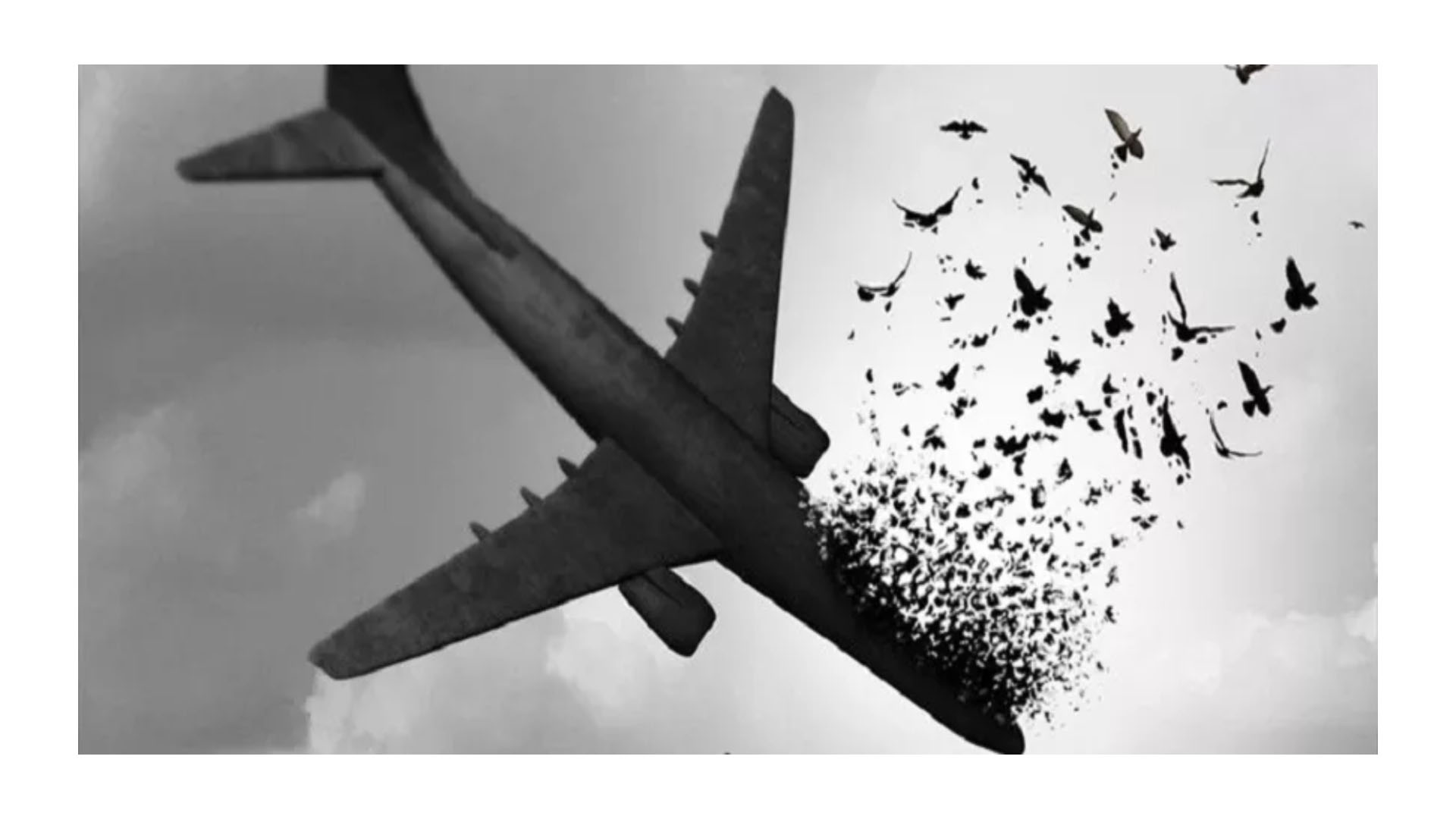 تسلیت سانحه هواپیمایی اوکراین
